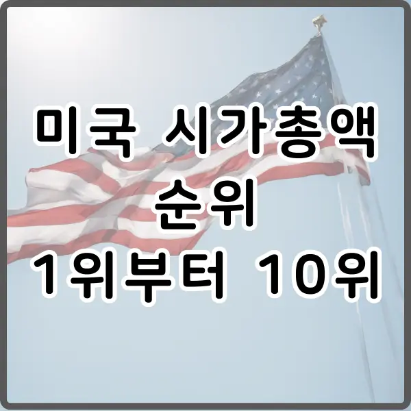 미국 시가총액 순위 알아보기