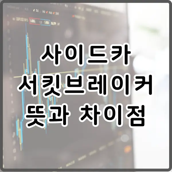 사이드카 서킷브레이커 뜻 차이