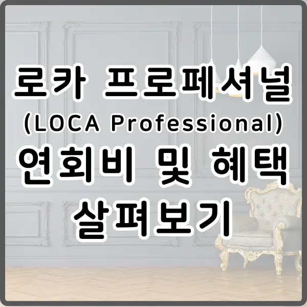 로카 프로페셔널 연회비 및 혜택 살펴보기