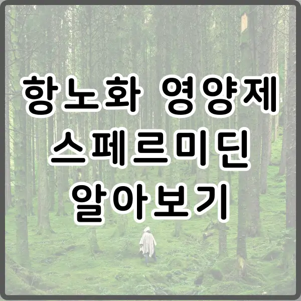 스페르미딘 효능 부작용 알아보기