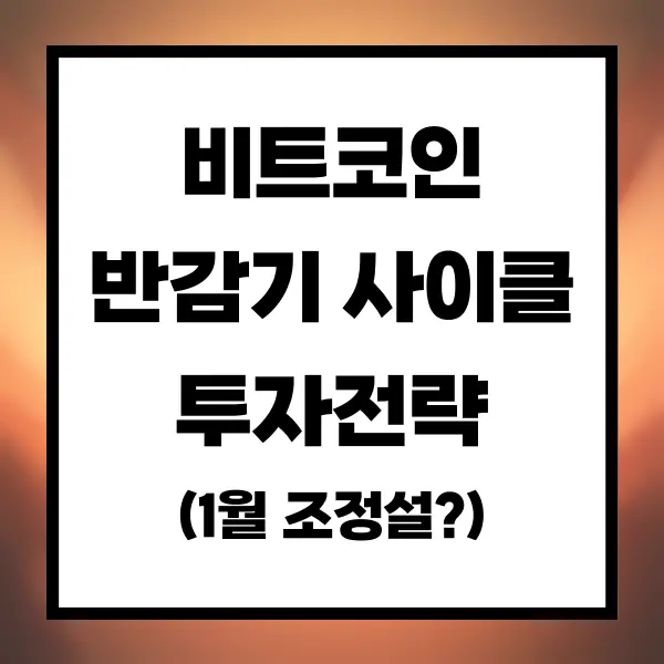 비트코인 전망 반감기 투자전략