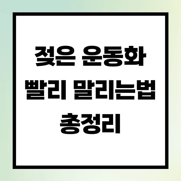 젖은 운동화 빨리 말리는 법 총정리